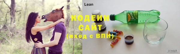 a pvp Бородино
