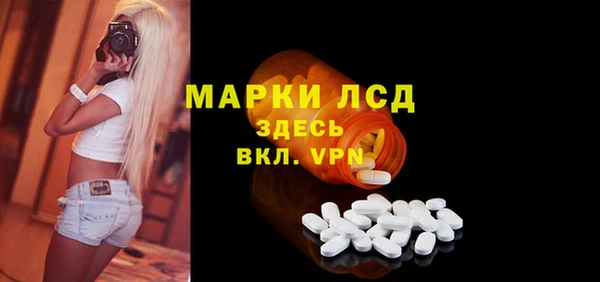 a pvp Бородино