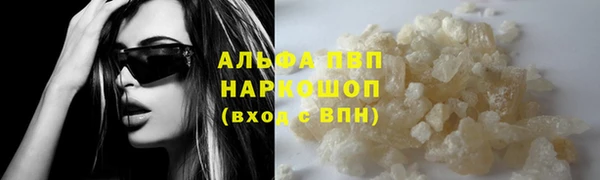a pvp Бородино