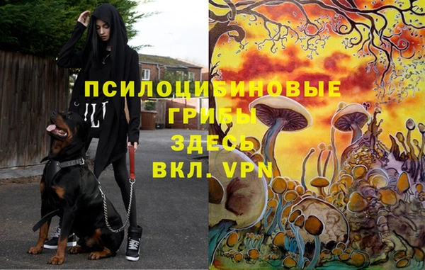 скорость mdpv Бугульма