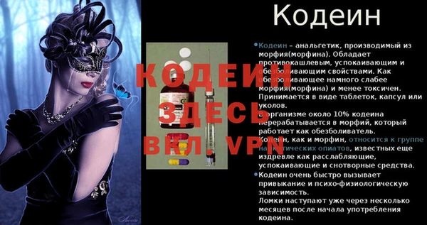 a pvp Бородино