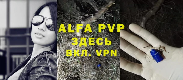 a pvp Бородино