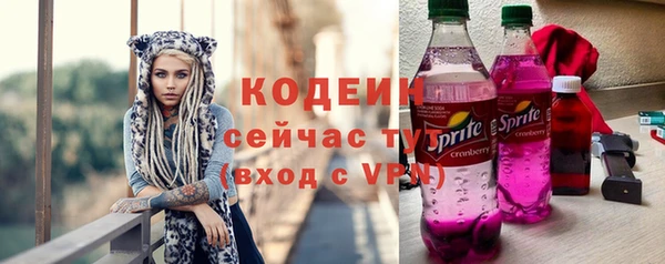 a pvp Бородино
