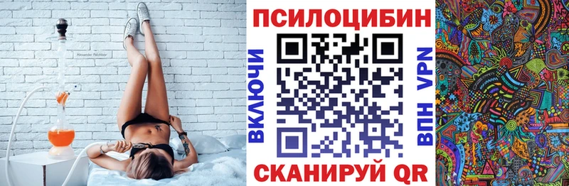 где продают   Тверь  Псилоцибиновые грибы Psilocybine cubensis 
